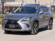 Lexus NX 2019 Silver for sale