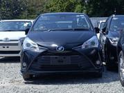 Toyota Vitz 1.5 FWD Hybrid 5dr 2019 Black for sale
