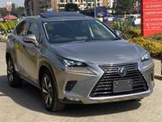 Lexus NX 2019 Silver for sale