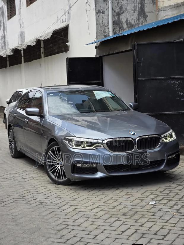 BMW 530 2019 Gray