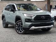 Toyota RAV4 2019 Gray for sale