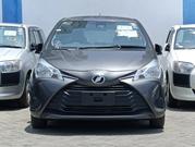Toyota Vitz 2019 Gray for sale