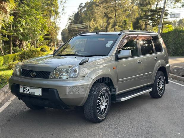 Nissan X-Trail 2.0 2003 Silver