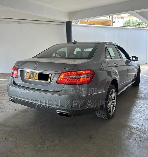 Mercedes-Benz E220 2010 Silver