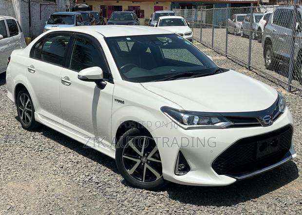 Toyota Axio 2019 Red