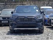 Toyota RAV4 2019 Gray for sale