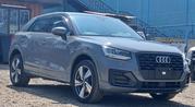 Audi Q2 2019 Gray for sale