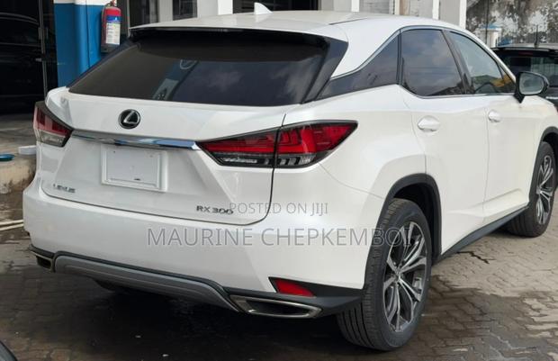 New Lexus RX 300 2020 White