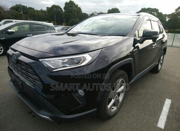 New 2019 Toyota RAV4: Your Perfect Compact SUV