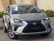 Lexus NX 300 AWD 2020 Silver for sale
