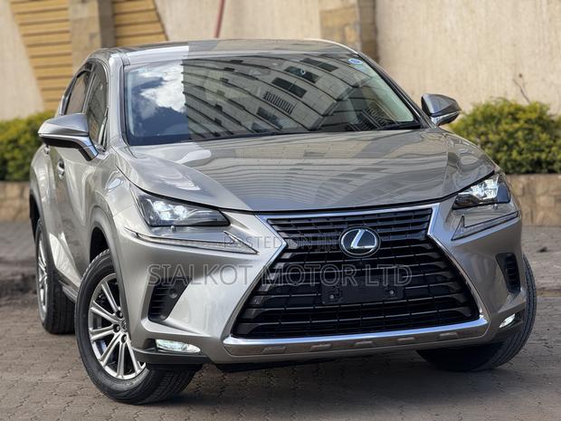 Lexus NX 300 AWD 2020 Silver
