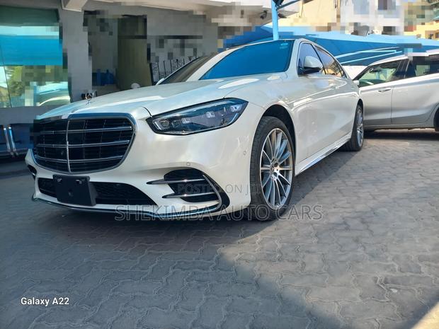 Mercedes-Benz S-Class S 500 L (V222) 2020 White