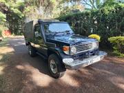 Toyota Land Cruiser 80 Wagon 4.2 D 1993 Blue for sale