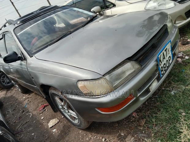 Toyota Corolla 1998 Gray