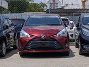 Toyota Vitz 1.5 FWD Hybrid 5dr 2019 Red for sale