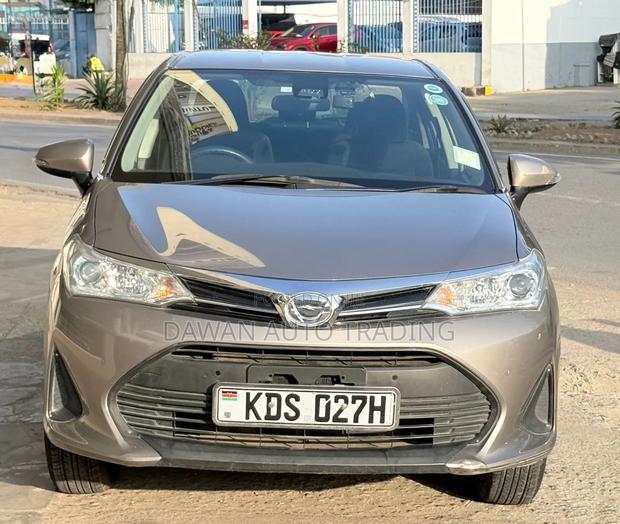Toyota Axio 2018 Silver