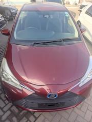 Toyota Vitz 2019 Maroon for sale