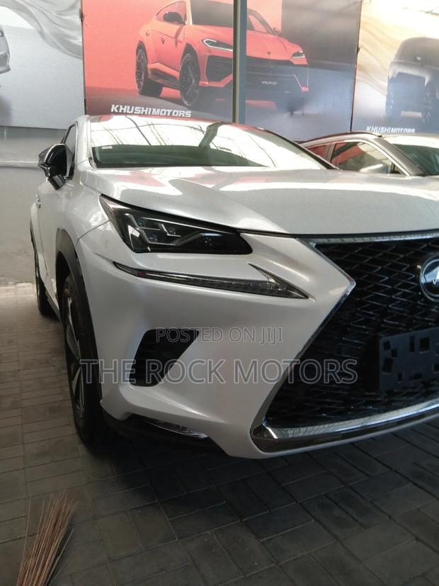 Lexus NX 300h 2019 White