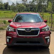 Subaru Forester 2019 Red for sale