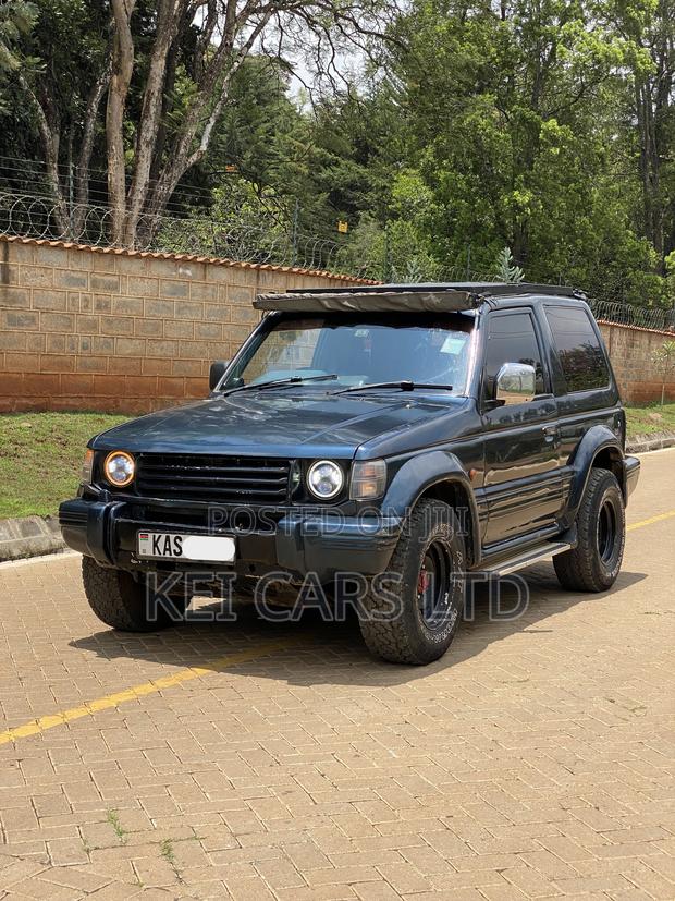 Mitsubishi Pajero 1992 Blue
