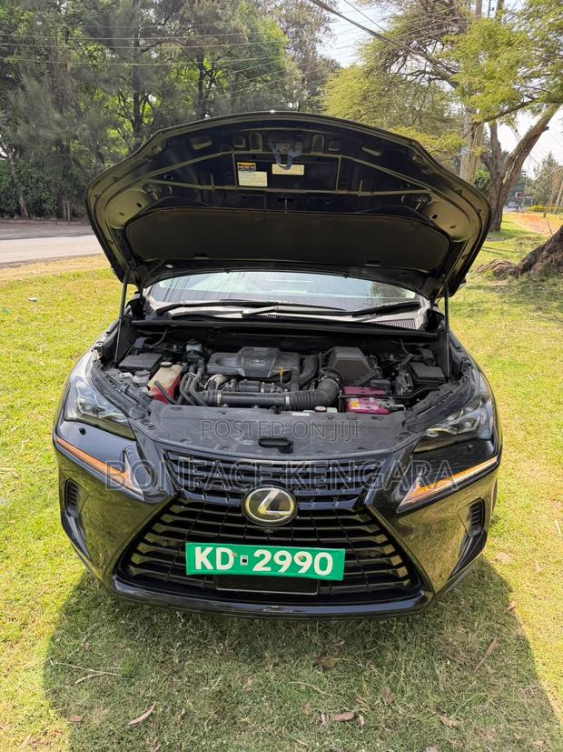 Lexus NX 300 FWD 2018 Black