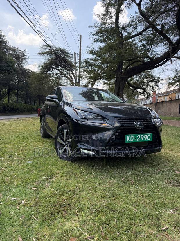 Lexus NX 300 FWD 2018 Black