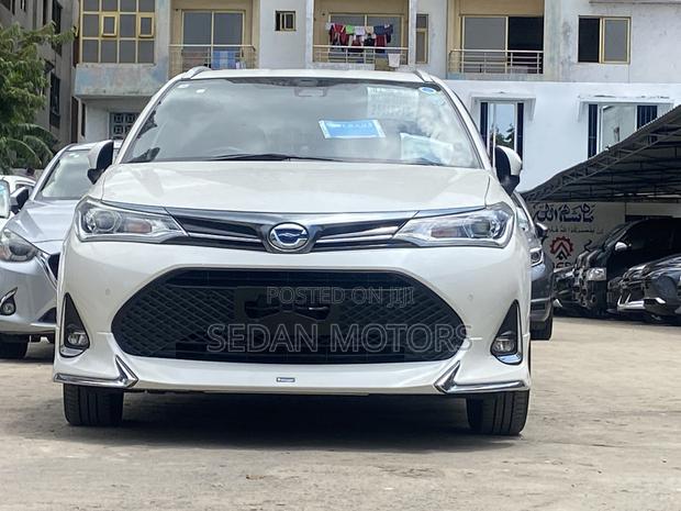 Toyota Corolla Fielder 2019 Pearl
