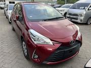 Toyota Vitz 2019 Burgundy for sale