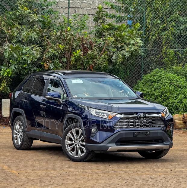 Toyota RAV4 Adventure 2019 Blue