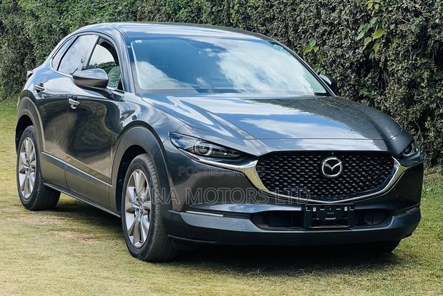 Mazda CX-30 2019 Gray