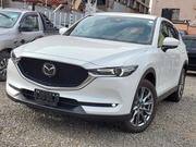 Mazda CX-5 2019 Pearl for sale
