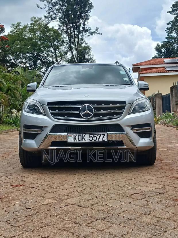 Mercedes-Benz M Class 2014 Silver