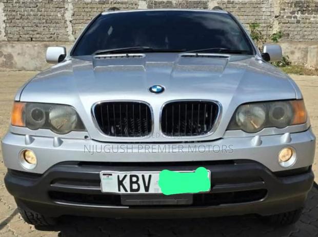 BMW X5 2006 Silver