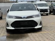 Toyota Corolla Fielder 2019 Off white for sale