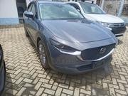 Mazda CX-30 2019 Blue for sale