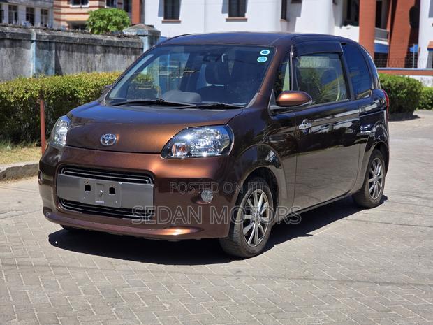 Toyota Porte 2019 Brown