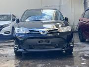 Toyota Corolla Fielder 2019 Matt Black for sale