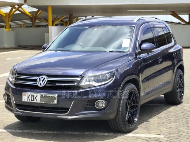 Volkswagen Tiguan 2015 Blue