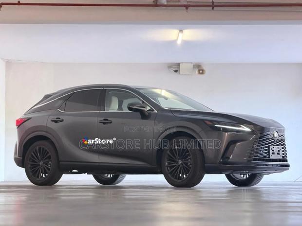 Lexus RX 400h 2023 Gray