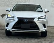 Lexus NX 2019 Off white for sale