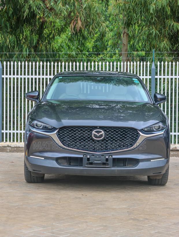 Mazda CX-30 2019 Gray