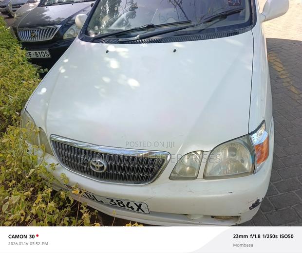 Toyota Gaia 2003 White