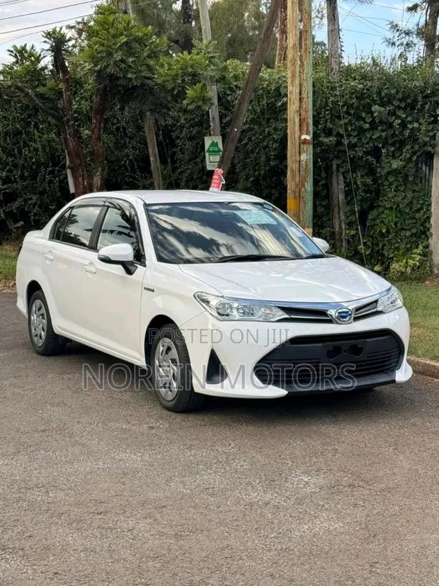 Toyota Axio 2019 Pearl
