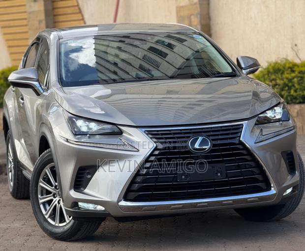 Lexus NX 2020 Silver