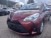 Toyota Vitz 2019 Red for sale