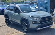 Toyota RAV4 2019 Gray for sale
