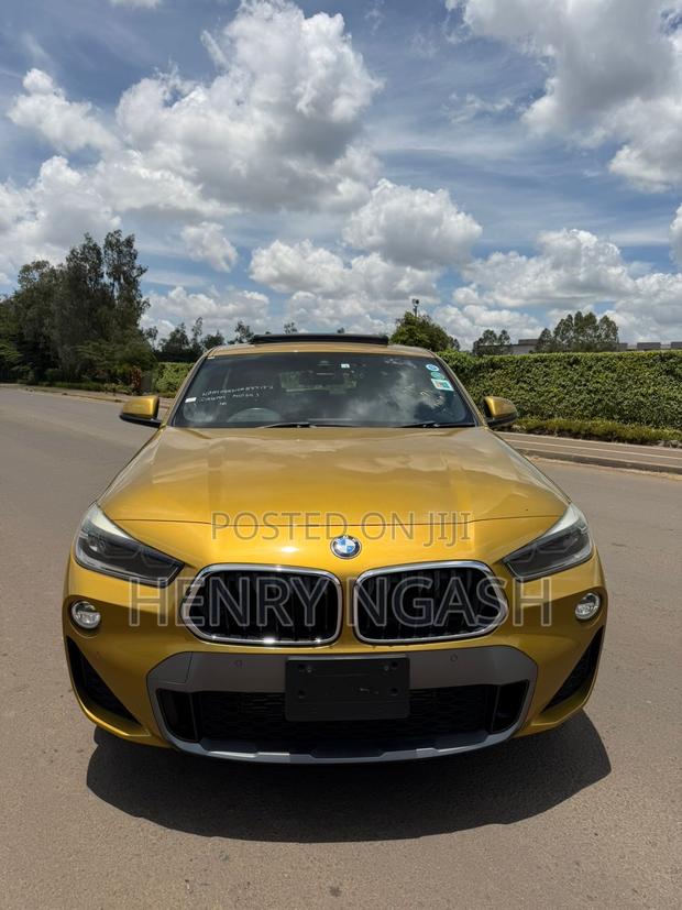 BMW X2 2019 Gold