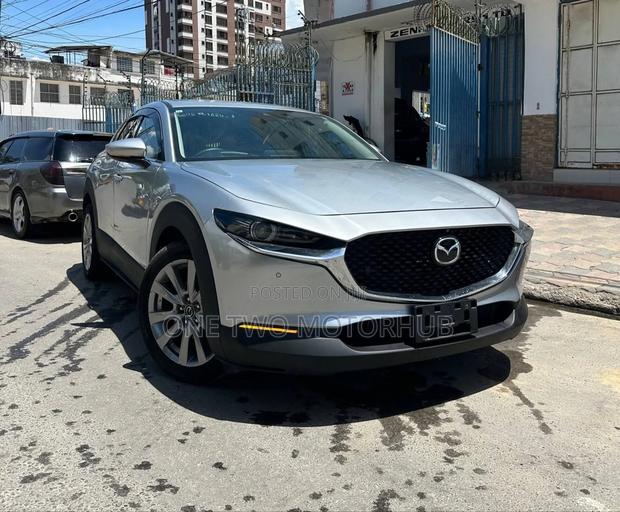 Mazda CX-30 2019 Silver