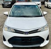 Toyota Corolla Fielder 2018 Off white for sale