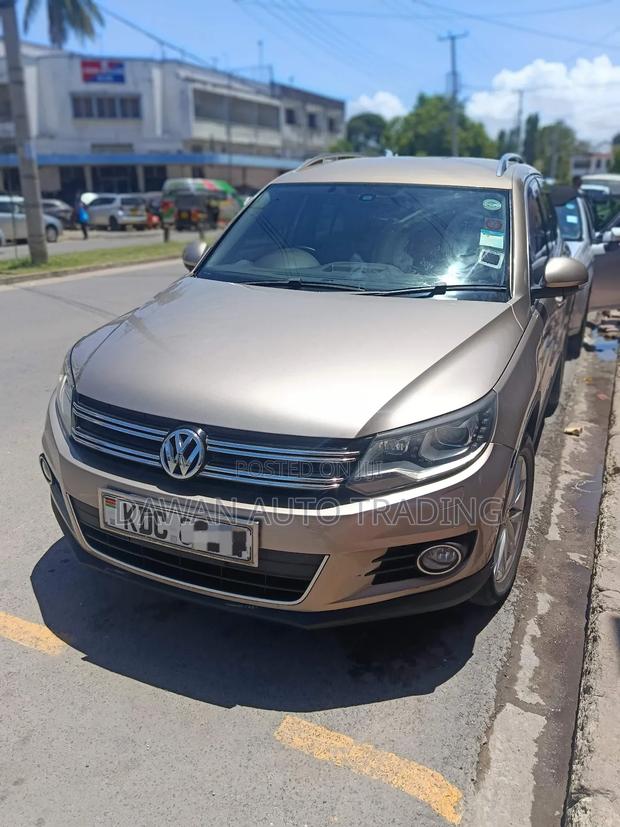 Volkswagen Tiguan 2015 Brown
